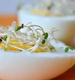 Dobri kalcki v sloveniji