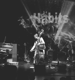 Hitre fotografske storitve ptuj