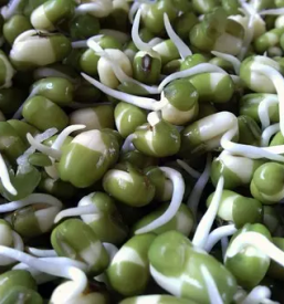 Prodaja kalckov v sloveniji