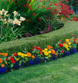 Storitve z gradbeno mehanizacijo Slovenija