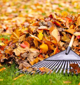 Storitve z gradbeno mehanizacijo Ljubljana okolica