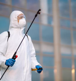 Zatiranje skodljivcev maribor okolica stajerska