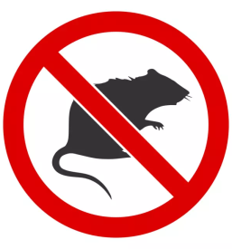 Zatiranje skodljivcev maribor okolica stajerska