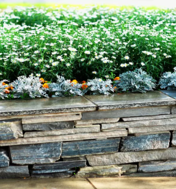 Poceni zidar Savinjska