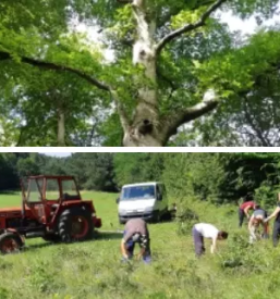 Drugi najvecji naravni park v sloveniji