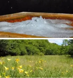 Drugi najvecji naravni park v sloveniji