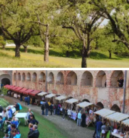 Javni zavod krajinski park goricko