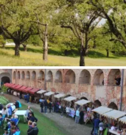 Javni zavod krajinski park goricko