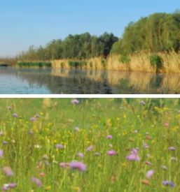 Javni zavod krajinski park goricko