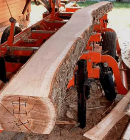 Odkup in prodaja hlodovine savinjska