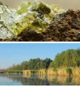 Varstvo naravnih vrednot goricko