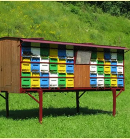 Čebelarstvo Rogaška Slatina, Podplat