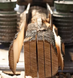 Ugoden razrez hlodovine Savinjska