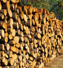 Odkup hlodovine Savinjska