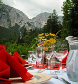 Ugodni izleti Logarska dolina