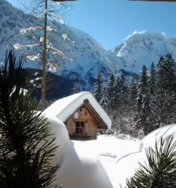 Poceni oddih Logarska dolina