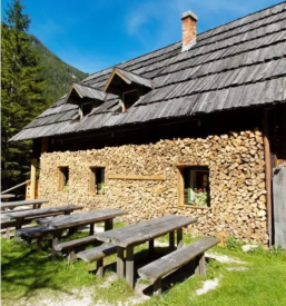 Dobra hrana na planšariji Logarski kot