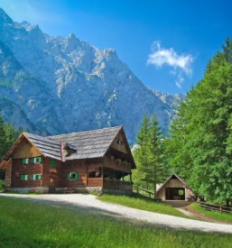 Obisk planšarije Logarska dolina