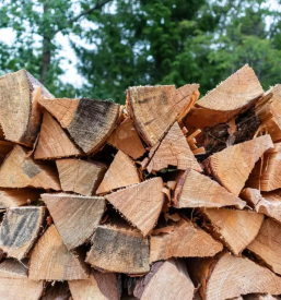 Prodaja drv primorska osrednja slovenija