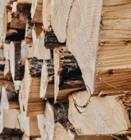 Prodaja drv primorska osrednja slovenija