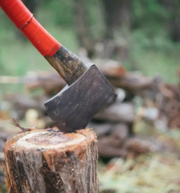 Prodaja drv primorska osrednja slovenija