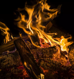 Prodaja drv primorska osrednja slovenija