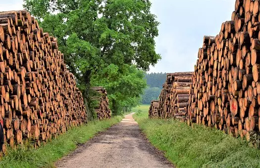 Sägewerk und Holzverarbeitung Slowenien