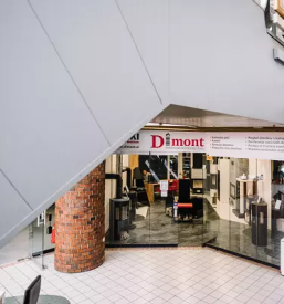 Sanacija dimnika slovenija