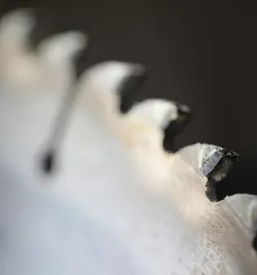 Sawmill and woodworking slovenia