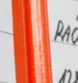 Ugoden racunovodja zalec