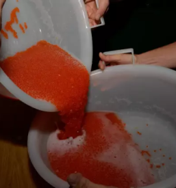 Vzreja kalifornijske postrvi gorenjska