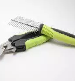 Ugoden pasji salon ptuj