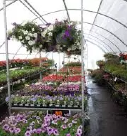 Vrtnarski center stajerska