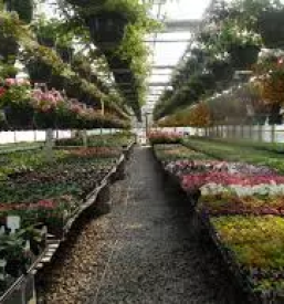 Vrtnarski center stajerska