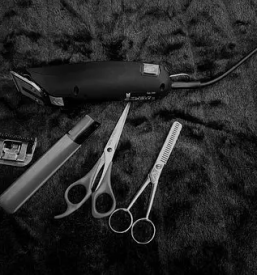 Strizenje psickov maribor