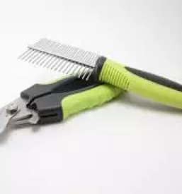 Ugodno strizenje hisnih ljubljenckov stajerska