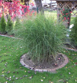 Urejanje okolice stajerska