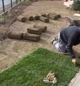 Urejanje okolice stajerska