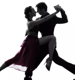 Plesna sola novo mesto