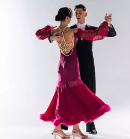 Plesna sola novo mesto