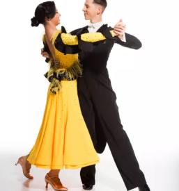 Plesna sola novo mesto