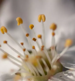 Dober psihoterapevt Savinjska