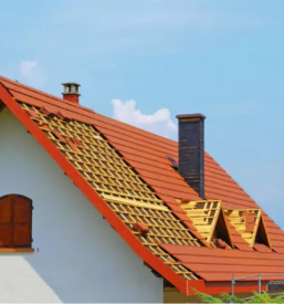 Dober tesar pomurska