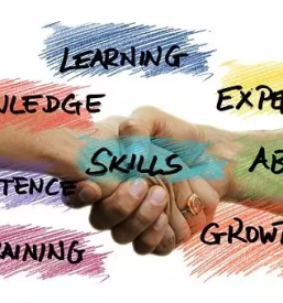 Management and development of young companies slovenia