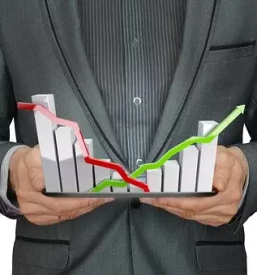 Management and development of young companies slovenia