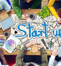 Upravljanje mladih podjetij