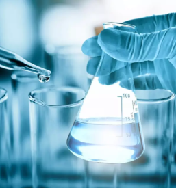 Management und entwicklung junger unternehmen slowenien