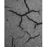 BIN trgovina in zastopanje, Vinica, d.o.o.