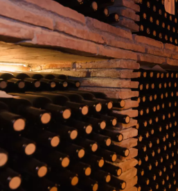 Boutique wines koper primorska