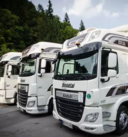 Cestni tovorni prevozi v nemcijo